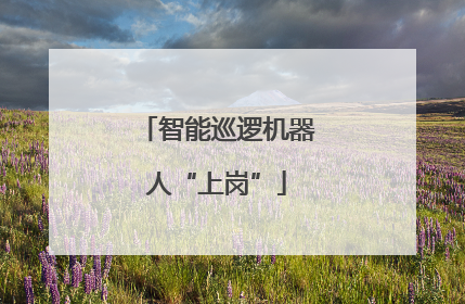 智能巡逻机器人“上岗”