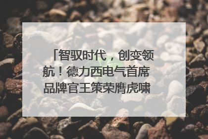 智驭时代，创变领航！德力西电气首席品牌官王策荣膺虎啸奖年度品牌人物