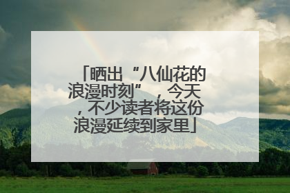 晒出“八仙花的浪漫时刻”，今天，不少读者将这份浪漫延续到家里