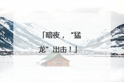 暗夜，“猛龙”出击！