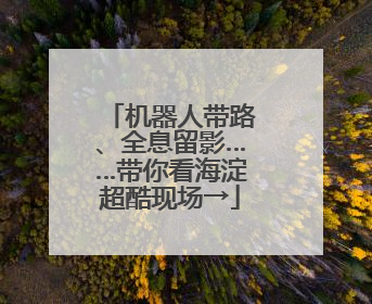 机器人带路、全息留影……带你看海淀超酷现场→