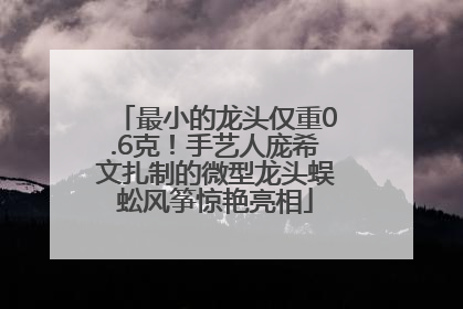 最小的龙头仅重0.6克！手艺人庞希文扎制的微型龙头蜈蚣风筝惊艳亮相