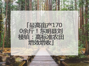 最高亩产1700余斤！东明县刘楼镇：高标准农田增效增收