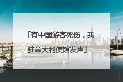 有中国游客死伤，我驻意大利使馆发声