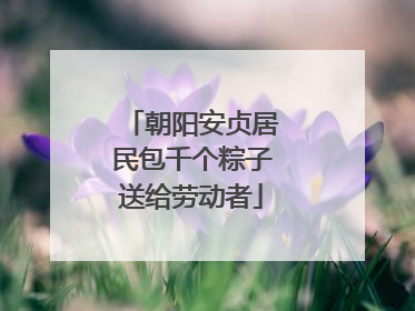 朝阳安贞居民包千个粽子送给劳动者