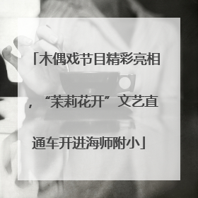 木偶戏节目精彩亮相，“茉莉花开”文艺直通车开进海师附小