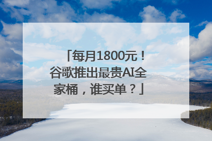 每月1800元！谷歌推出最贵AI全家桶，谁买单？
