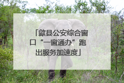 歙县公安综合窗口“一窗通办”跑出服务加速度