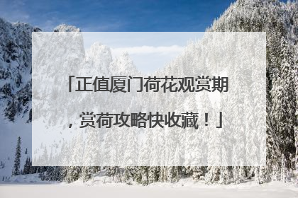 正值厦门荷花观赏期，赏荷攻略快收藏！