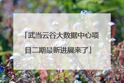 武当云谷大数据中心项目二期最新进展来了