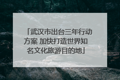 武汉市出台三年行动方案 加快打造世界知名文化旅游目的地