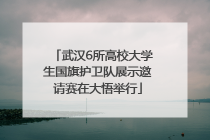 武汉6所高校大学生国旗护卫队展示邀请赛在大悟举行