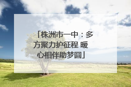 株洲市一中：多方聚力护征程 暖心相伴助梦圆