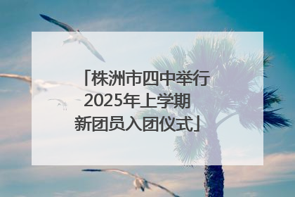 株洲市四中举行2025年上学期新团员入团仪式