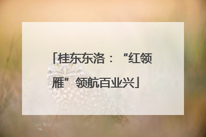 桂东东洛：“红领雁”领航百业兴