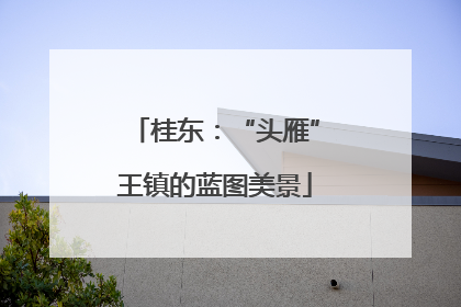 桂东：“头雁”王镇的蓝图美景