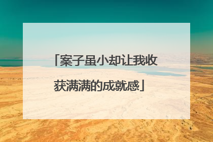 案子虽小却让我收获满满的成就感