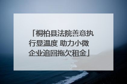 桐柏县法院善意执行显温度 助力小微企业追回拖欠租金