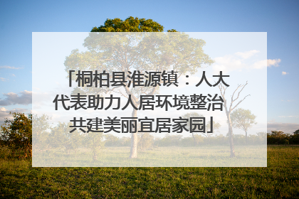 桐柏县淮源镇：人大代表助力人居环境整治 共建美丽宜居家园