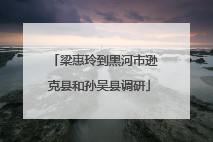 梁惠玲到黑河市逊克县和孙吴县调研