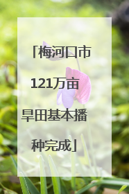 梅河口市121万亩旱田基本播种完成