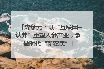 森参元：以“互联网+认养”重塑人参产业，争做时代“新农民”