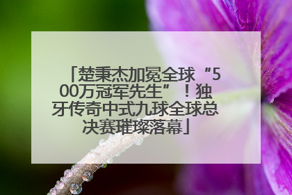 楚秉杰加冕全球“500万冠军先生”！独牙传奇中式九球全球总决赛璀璨落幕