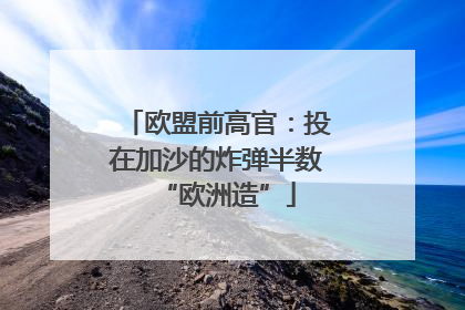 欧盟前高官：投在加沙的炸弹半数“欧洲造”