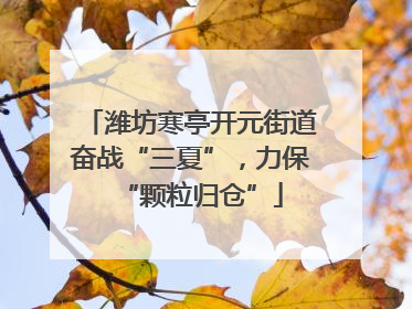 潍坊寒亭开元街道奋战“三夏”，力保“颗粒归仓”