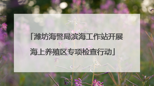 潍坊海警局滨海工作站开展海上养殖区专项检查行动