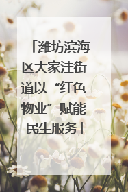 潍坊滨海区大家洼街道以“红色物业”赋能民生服务