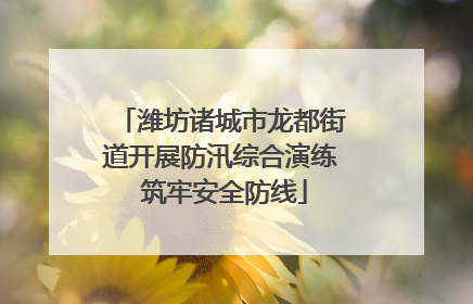 潍坊诸城市龙都街道开展防汛综合演练 筑牢安全防线