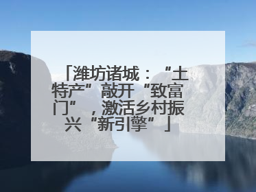 潍坊诸城：“土特产”敲开“致富门”，激活乡村振兴“新引擎”