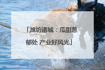 潍坊诸城：瓜甜葱郁处 产业好风光