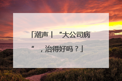 潮声丨“大公司病”，治得好吗？