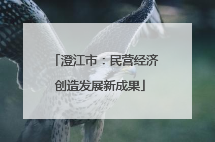 澄江市：民营经济创造发展新成果