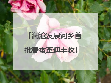 澜沧发展河乡首批春蚕茧迎丰收