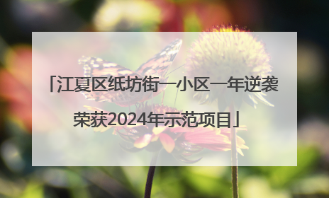 江夏区纸坊街一小区一年逆袭 荣获2024年示范项目