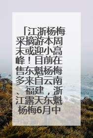 江浙杨梅采摘游本周末或迎小高峰！目前在售东魁杨梅多来自云南、福建，浙江露天东魁杨梅6月中旬大量上市