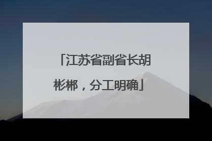 江苏省副省长胡彬郴，分工明确