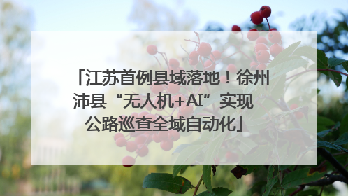 江苏首例县域落地！徐州沛县“无人机+AI”实现公路巡查全域自动化