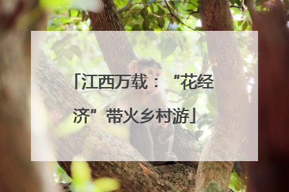 江西万载：“花经济”带火乡村游