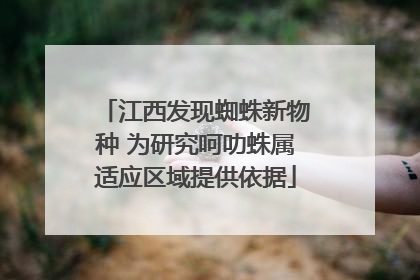 江西发现蜘蛛新物种 为研究呵叻蛛属适应区域提供依据