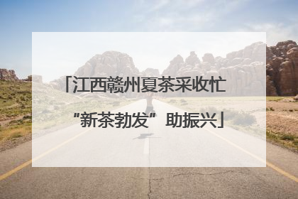 江西赣州夏茶采收忙 “新茶勃发”助振兴