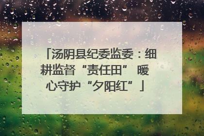 汤阴县纪委监委：细耕监督“责任田” 暖心守护“夕阳红”