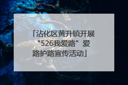 沾化区黄升镇开展“526我爱路”爱路护路宣传活动