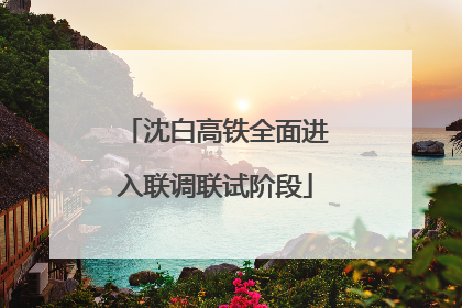 沈白高铁全面进入联调联试阶段