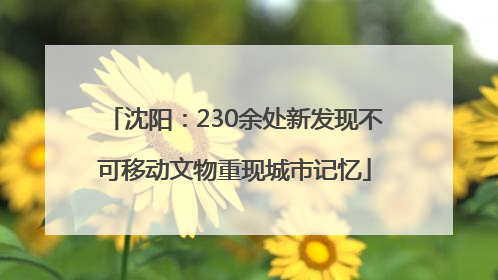 沈阳：230余处新发现不可移动文物重现城市记忆