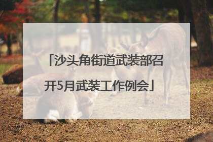 沙头角街道武装部召开5月武装工作例会