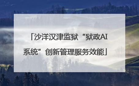 沙洋汉津监狱“狱政AI系统”创新管理服务效能